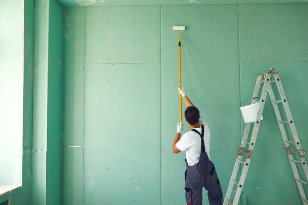 Best Commercial Mold Inspection  in Glenwood Springs, CO