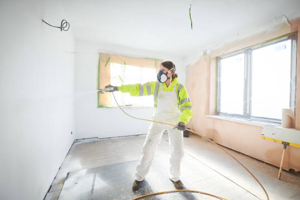 Best Asbestos and Lead Testing During Mold Inspection  in Glenwood Springs, CO